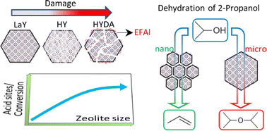 Graphical abstract: Effect of crystal size on the acidity of nanometric Y zeolite: number of sites, strength, acid nature, and dehydration of 2-propanol