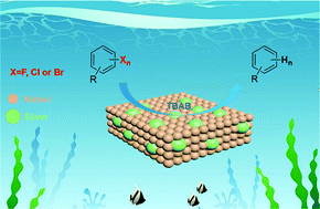 Graphical abstract: Preparation of a cost-effective Ni–Ag bimetallic catalyst for hydrodehalogenation of aryl halides under mild conditions