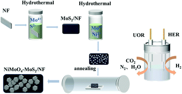 Graphical abstract: Hexagonal NiMoO4-MoS2 nanosheet heterostructure as a bifunctional electrocatalyst for urea oxidation assisted overall water electrolysis