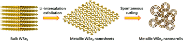 Graphical abstract: Metallic phase WSe2 nanoscrolls for the hydrogen evolution reaction