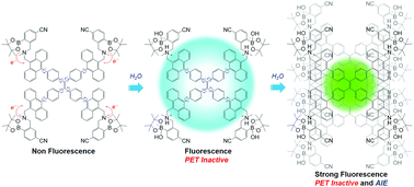 Graphical abstract: Tetraphenylethene–anthracene-based fluorescence emission sensor for the detection of water with photo-induced electron transfer and aggregation-induced emission characteristics