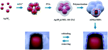 Graphical abstract: Synthesis of an organic phosphoric acid-based multilayered SERS imprinted sensor for selective detection of dichlorophenol