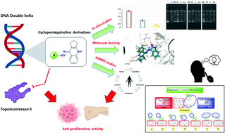 Graphical abstract: Design, synthesis, biological evaluation, and SAR studies of novel cyclopentaquinoline derivatives as DNA intercalators, topoisomerase II inhibitors, and apoptotic inducers