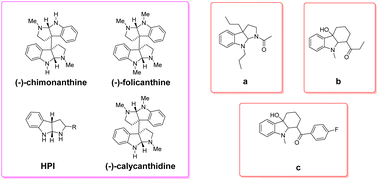 Graphical abstract: Synthesis and fungicidal activity of novel pyrroloindole scaffolds and their derivatives