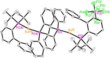 Graphical abstract: Novel dinuclear gold(i) complexes containing bis(diphenylphosphano)alkanes and (biphenyl-2-yl)(di-tert-butyl)phosphane: synthesis, structural characterization and anticancer activity