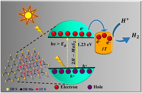 Graphical abstract: Tailoring the fusion effect of phase-engineered 1T/2H-MoS2 towards photocatalytic hydrogen evolution
