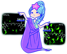 Graphical abstract: Turn-on silicon-based fluorescent probe for visualizing endogenous CO during hypoxia