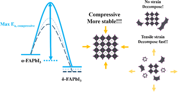 Graphical abstract: The influence of compression on the lattice stability of α-FAPbI3 revealed by numerical simulation