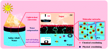 Graphical abstract: An anti-oil-fouling superhydrophilic composite aerogel for solar saline alkali water desalination