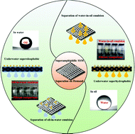 Graphical abstract: Two-step facile fabrication of a superamphiphilic biomimic membrane with a micro–nano structure for oil–water emulsion separation on-demand