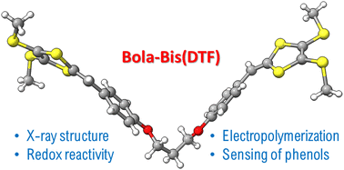 Graphical abstract: Studies of a bola-type bis(dithiafulvene) molecular system: synthesis, crystal structure, and electrochemical properties