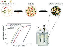 Graphical abstract: Plant polyphenol-involved coordination assembly-derived Mo3Co3C/Mo2C/Co@NC with phase regulation and interface engineering for efficient hydrogen evolution reaction electrocatalysis