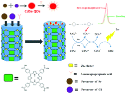 Graphical abstract: Functionalized MOF PCN-222-loaded quantum dots as an electrochemiluminescence sensing platform for the sensitive detection of p-nitrophenol