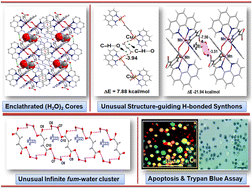 Graphical abstract: Fumarato and phthalato bridged dinuclear metal–organic Cu(ii) and Mn(ii) compounds involving infinite fumarate–water assemblies and unusual structure-guiding H-bonded synthons: antiproliferative evaluation and theoretical studies