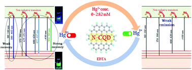 Graphical abstract: Probing the emission dynamics in nitrogen-doped carbon dots by reversible capping with mercury(ii) through surface chemistry