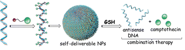 Graphical abstract: Supramolecular grafting of stimuli-responsive, carrier-free, self-deliverable nanoparticles of camptothecin and antisense DNA for combination cancer therapy