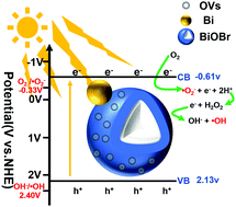Graphical abstract: Bi nanosphere-decorated oxygen-vacancy BiOBr hollow microspheres with exposed (110) facets to enhance the photocatalytic performance for the degradation of azo dyes