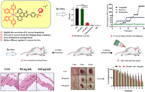 Graphical abstract: Synthesis and evaluation of sulfonyl-substituted ruthenium complex as potential antibacterial activity against Staphylococcus aureus