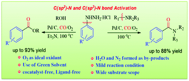 Graphical abstract: Tunable Pd/C-catalyzed oxidative alkoxycarbonylation/aminocarbonylation of aryl hydrazines with alcohols/inert tertiary amines through C–N bond activation