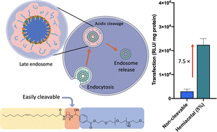 Graphical abstract: Hemiacetal-linked pH-sensitive PEG-lipids for non-viral gene delivery