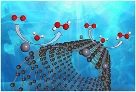 Graphical abstract: Metals (Al, Fe, Zn) doped in single walled carbon nanotubes for catalytic oxidation of H2O to H2O2: a theoretical investigation
