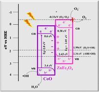 Graphical abstract: In situ construction of ZnFe2O4 nanospheres on CoO nanosheets for durable photodegradation of organics: kinetics and mechanistic insights