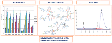 Graphical abstract: Phosphorus–nitrogen compounds. Part 64. Comparative reactions of spiro and ansa (N/O) cyclotetraphosphazenes with bulky (4-fluorobenzyl) N/N and N/O donor type bidentate reagents: structure, stereogenic properties and cytotoxic activity studies