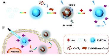 Graphical abstract: In situ construction of a cobalt oxyhydroxide loaded pyrene-based fluorescent organic nanoprobe for bioimaging of endogenous ascorbic acid in living cells