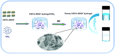 Graphical abstract: Investigating the adsorption behavior of functional biochar-based porous composite for efficiently removing Cu(ii) in aqueous solution