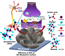 Graphical abstract: Hierarchical engineering of Mn2O3/carbon nanostructured electrodes for sensitive screening of acetylcholine in biological samples