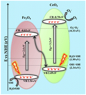 Graphical abstract: Pharmaceuticals removal by synergistic adsorption and S-scheme photocatalysis using nano-CeO2-coupled Fe3O4 on a CTAB matrix and investigation of the nanocomposite's antibacterial and antibiofilm activities: intrinsic degradation mechanism