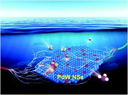 Graphical abstract: Regulating Pd nanosheets by W-doping for electrochemical nitrate reduction to ammonia