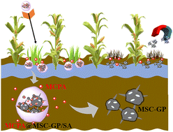 Graphical abstract: Synthesis of semicoke-based geopolymers as delivery vehicles for slow release of herbicides