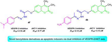 Graphical abstract: Coumarin-acetohydrazide derivatives as novel antiproliferative agents via VEGFR-2/AKT axis inhibition and apoptosis triggering