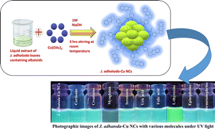 Graphical abstract: Sustainable chemistry approach for the preparation of bluish green emissive copper nanoclusters from Justicia adhatoda leaves extract: a facile analytical approach for the sensing of myoglobin and l-thyroxine