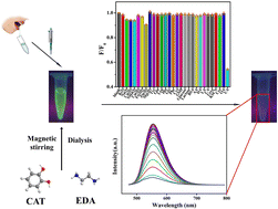 Graphical abstract: Fabrication of nitrogen-enriched carbon dots with green fluorescence for enzyme-free detection of uric acid