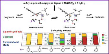 Graphical abstract: Influence of N- and P-substituents in N-aryl-phosphinoglycine ligands on the selectivity of Ni-catalysed ethylene oligomerization