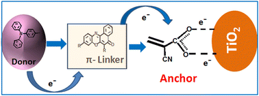 Graphical abstract: Tailoring benzo[α]phenoxazine moiety for efficient photosensitizers in dye sensitized solar cells via the DFT/TD-DFT method