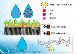 Graphical abstract: Zwitterion-functionalized MIL-125-NH2-based thin-film nanocomposite forward osmosis membranes: towards improved performance for salt rejection and heavy metal removal