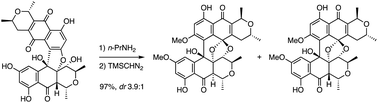 Graphical abstract: Base-induced isomerization of red uroleuconaphins revisited: characterization and absolute stereochemistry of the yellow aphid pigments uroleuconaphins A2 and B2