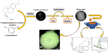 Graphical abstract: Nitrogen, phosphorus co-doped hollow porous carbon microspheres as an oxidase-like electrochemical sensor for baicalin