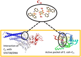 Graphical abstract: Synthesis, characterization, biological properties, and molecular docking studies of new phosphoramide-based Ag(i) complexes