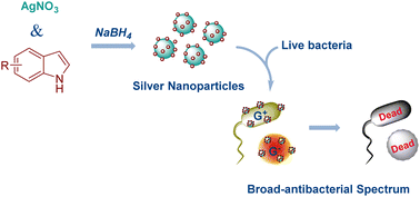 Graphical abstract: Functional silver nanoparticles as broad-spectrum antimicrobial agents