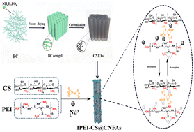 Graphical abstract: Adsorption of Nd(iii) on a multistage porous imprinted chitosan composite membrane