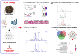 Graphical abstract: Characterization of chemical components and the potential anti-influenza mechanism of Fructus Arctii by a strategy integrating pharmacological evaluations, chemical profiling, serum pharmacochemistry, and network pharmacology