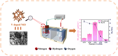 Graphical abstract: Self-supported V-doped NiO electrocatalyst achieving a high ammonia yield of 30.55 μg h−1 cm−2 under ambient conditions