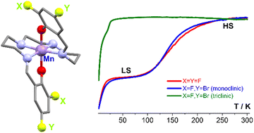 Graphical abstract: The effect of fluorine substituents on the crystal structure and spin crossover behavior of the cation [MnIII(3,5-diHal-sal2323)]+ complex family with BPh4 anions