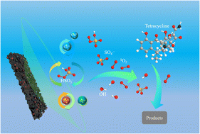 Graphical abstract: Cu-Doped magnetic loofah biochar for tetracycline degradation via peroxymonosulfate activation