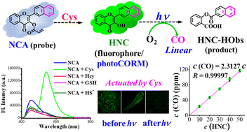 Graphical abstract: Cysteine ratiometric fluorescence sensing reaction actuated B-ring naphthalene-substituted flavonol-based PhotoCORM: precisely controlled linear CO liberation