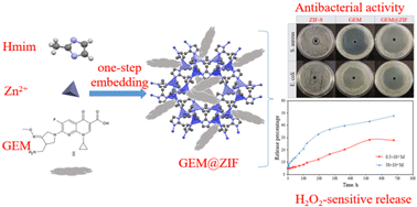 Graphical abstract: Embedding an extraordinary amount of gemifloxacin antibiotic in ZIF-8 framework with one-step synthesis and measurement of its H2O2-sensitive release and potency against infectious bacteria